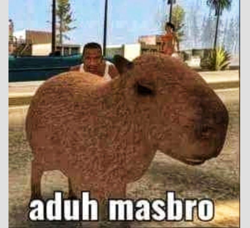 Update kumpulan foto meme Capybara masbro
