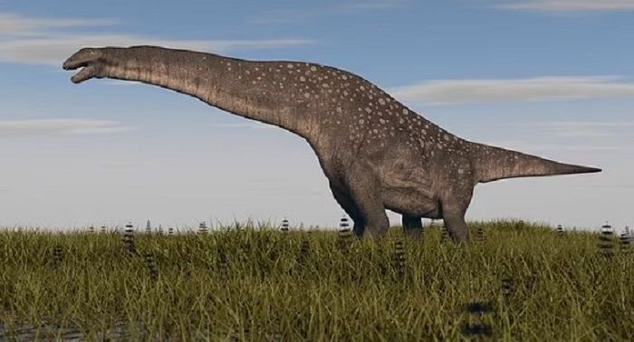 Titanosaurus merupakan keluarga besar dinosaurus sauropoda.*  