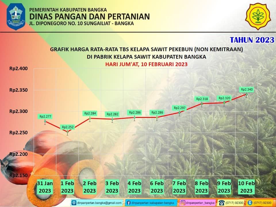 Grafik Rata-rata Harga TBS Kelapa Sawit 9-10 Februari 2023