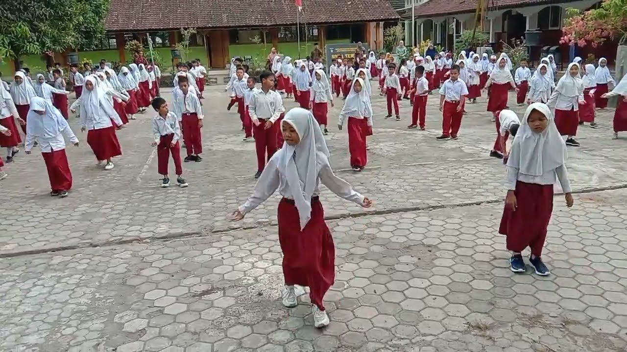 SD terbaik di Kabupaten Tabalong Kalimantan Selatan nilai Kemendikdub./Tangkapan layar sekolah Youtube.com/ SEMADI EFENDI