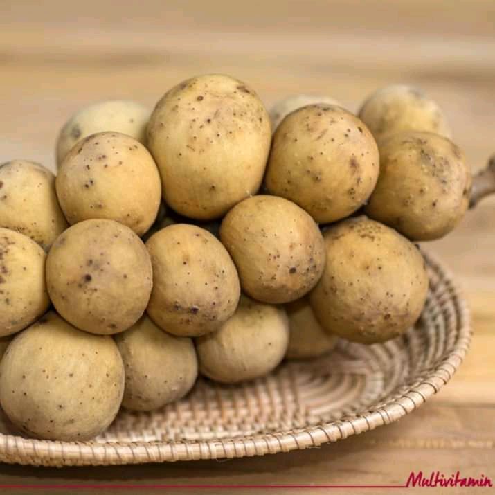 buah duku