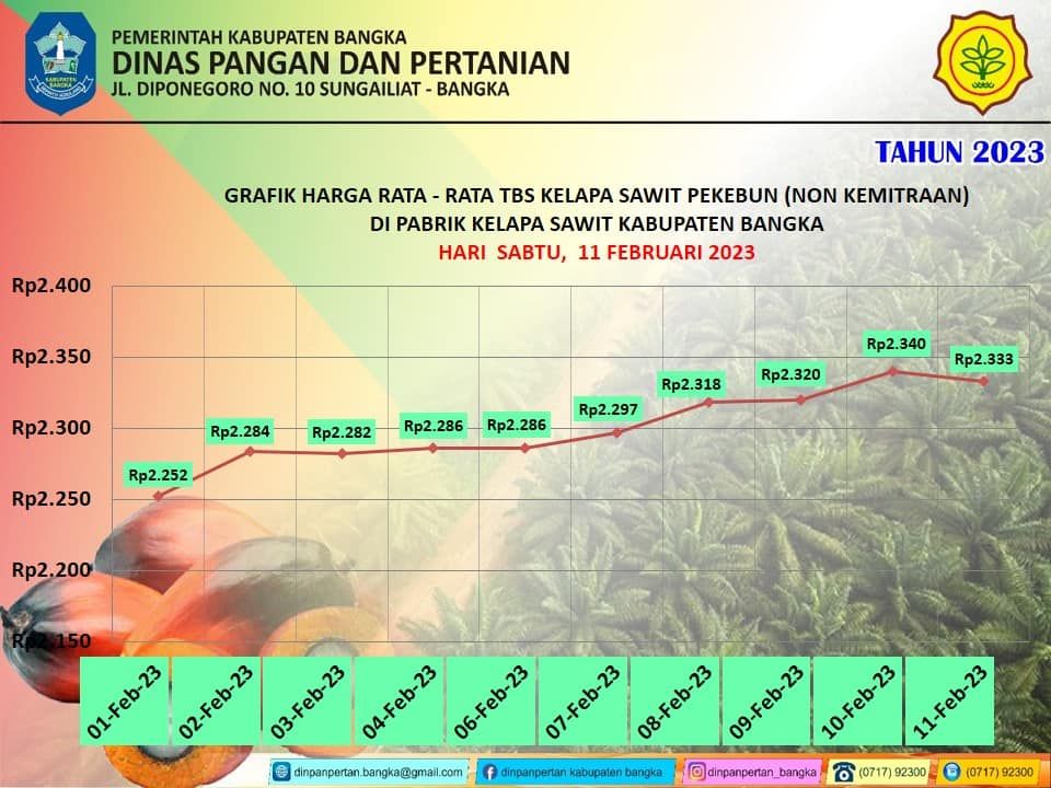 Grafik Rata-rata Harga TBS Kelapa Sawit 1-11 Februari 2023