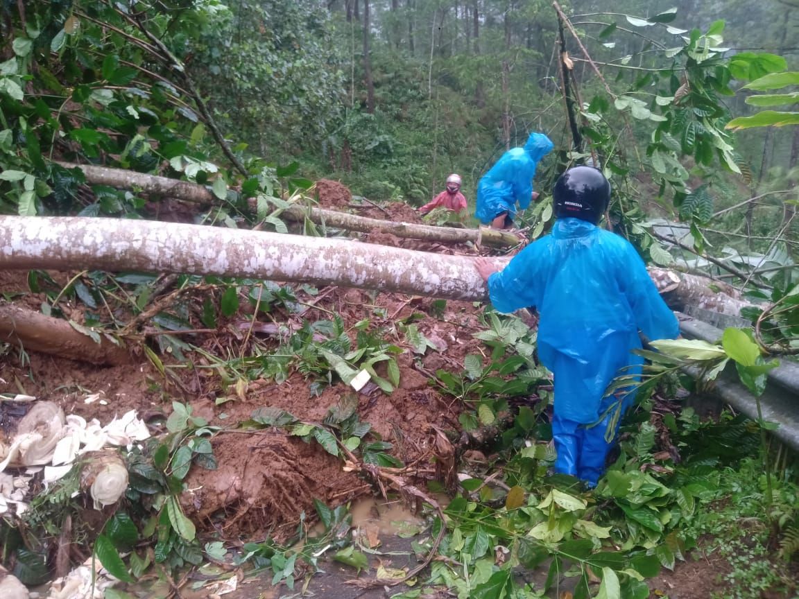 Pemotongan pohon yang melintang di tengah jalan yang ikut terbawa longsor Sirau Karangmoncol Purbalingga.*