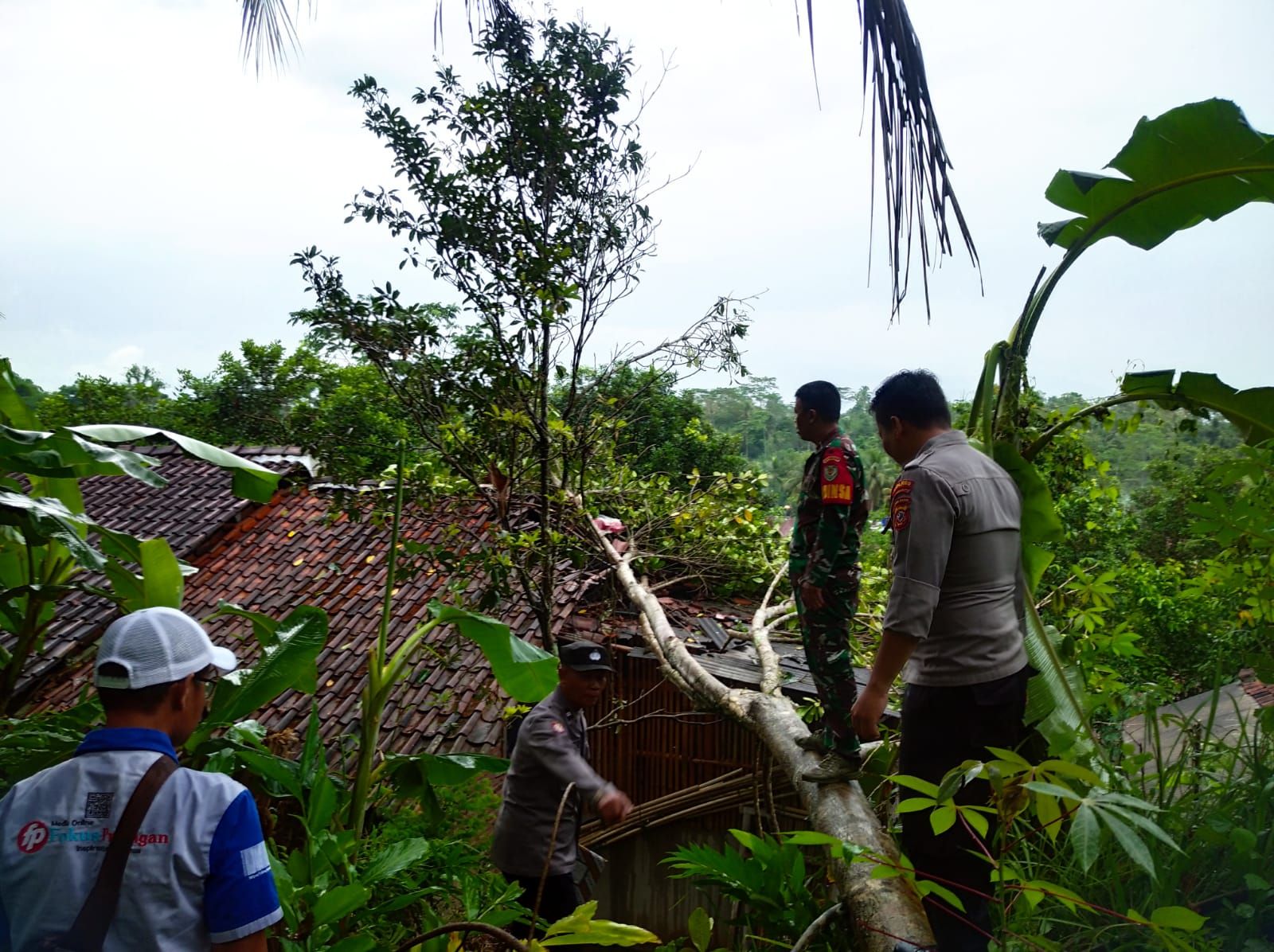 Pohon tumbang di Kecamatan Cibeureum Kota Tasikmalaya.*