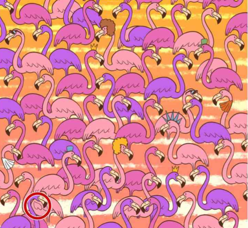 Jawaban Tes IQ: Ayo Cari Simbol Hati Diantara Burung Flamingo yang Cantik, Dapatkan dalam 5 Detik Jika Kamu Cerdas!