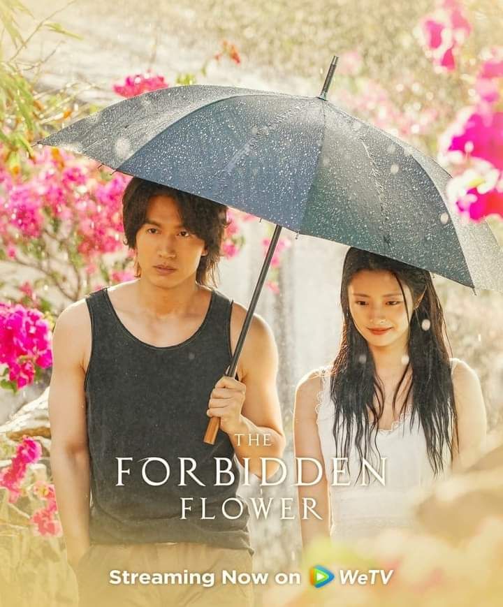 Sinopsis, Daftar Pemain, dan Link Nonton The Forbidden Flower yang  Diperankan Jerry yang dan Xu Ruohan