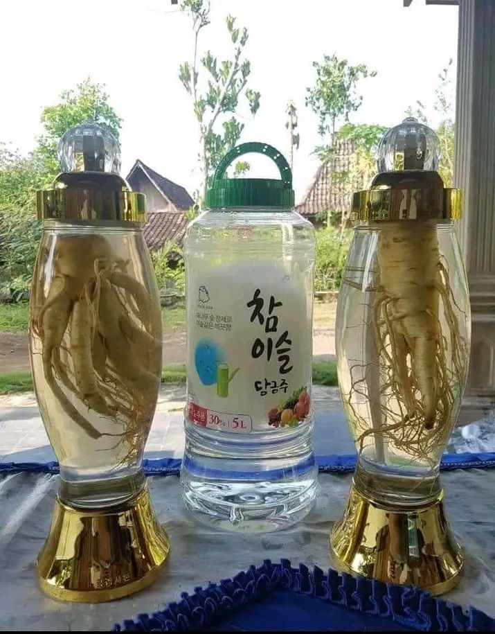 gingseng