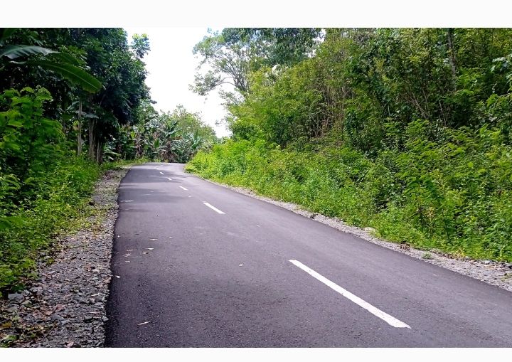 Ruas jalan Provinsi di Desa Watu Pari Kecamatan Kota Komba Utara/ Labuan Bajo Terkini