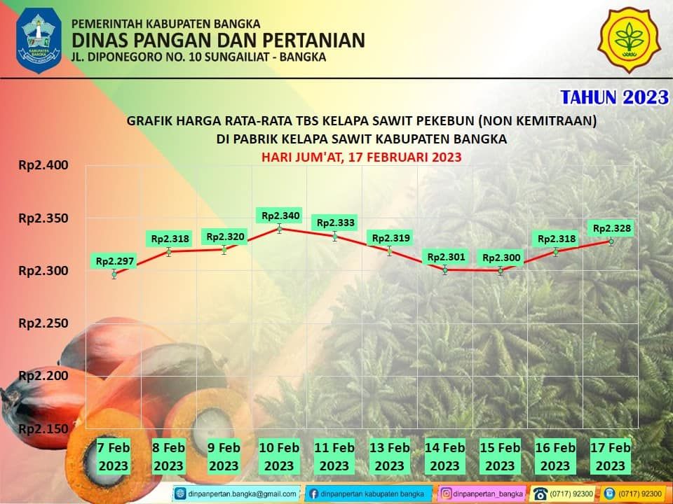 UPDATE Harga TBS Kelapa Sawit Bangka Belitung 17 Februari 2023, Cek Harga Terbaru di Kabupaten Bangka