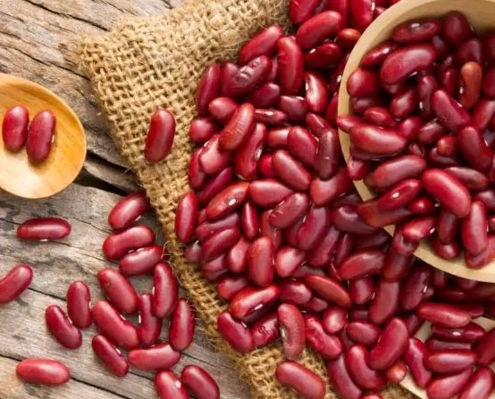 kacang merah