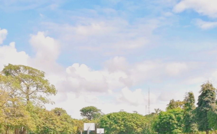 Prakiraan Cuaca Purwokerto Minggu 5 Maret 2023, Pagi Siang Malam Berawan, Sore Potensi Turun Hujan