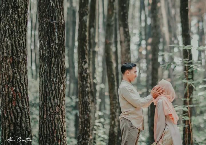 Hutan Pinus Gunung Pancar/Instagram/@andra_lesmana30