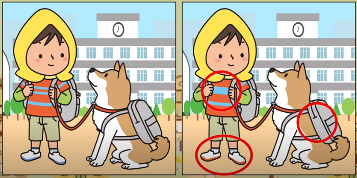 Jawaban tes IQ dalam menemukan perbedaan pada dua gambar bocah dan anjingnya.