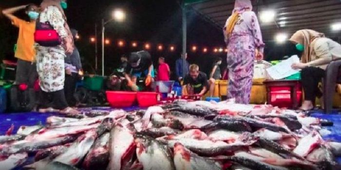 Pasar Ikan Balekambang: destinasi wisata malam hits di Solo, surganya seafood. Pasar Ikan Balekambang kini menjadi objek wsiata belanja bagi para pemburu ikan segar. (Foto: Instagram/@pasarikanbalkam)