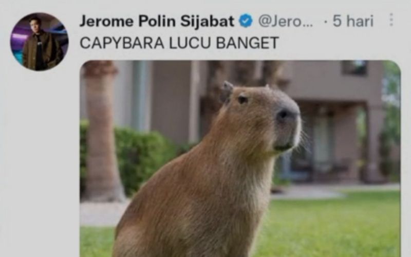 Unggahan Jerome Polin tentang Capybara
