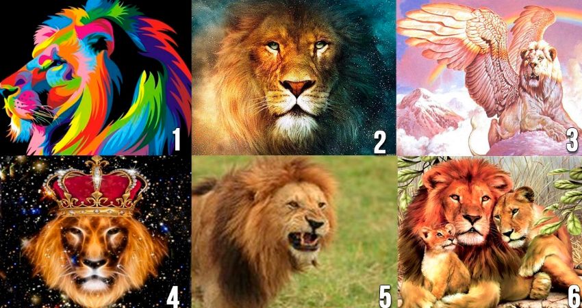 Tes kepribadian yang akan mengungkapkan karakter anda melalui singa yang dipilih dalam gambar.