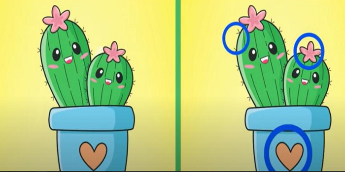 Perbedaan pada gambar kaktus di tes IQ.