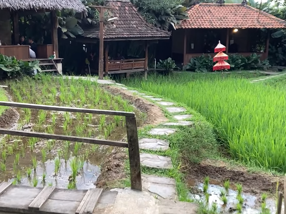 Rekomendasi wisata di Sentul Bogor.