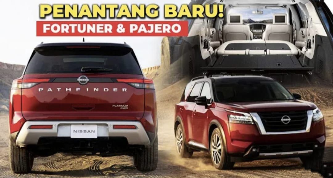 terrano 2023