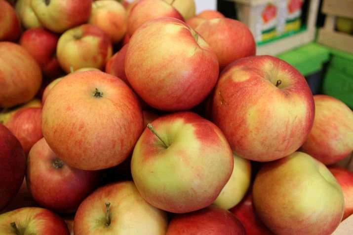 buah apel. Manfaat buah apel yang tersembunyi, bisa menambah nafsu makan jika diolah dalam bentuk berikut.