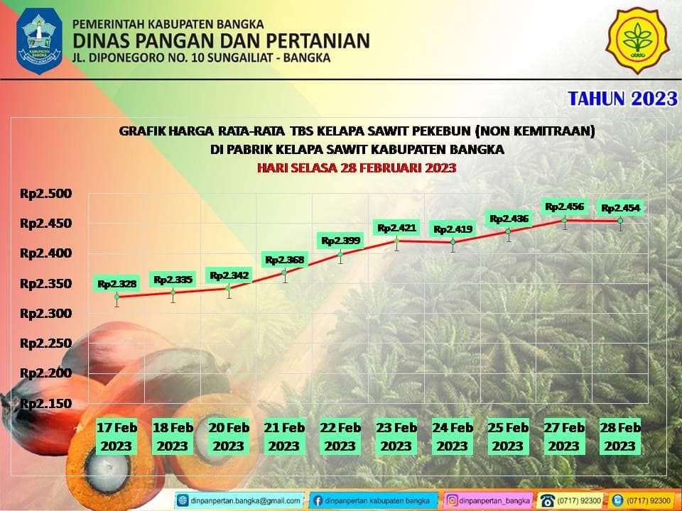 UPDATE: Harga Rata-rata TBS Kelapa Sawit Bangka 1 - 28 Februari 2023 di Bangka Belitung