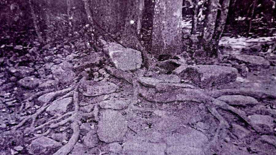 Salah satu tempat pemujaan jurig, ketika zaman perang tahun 1948 di Gunung Cikuray, Garut. Ada sejumlah hantu populer di Jawa  Barat.