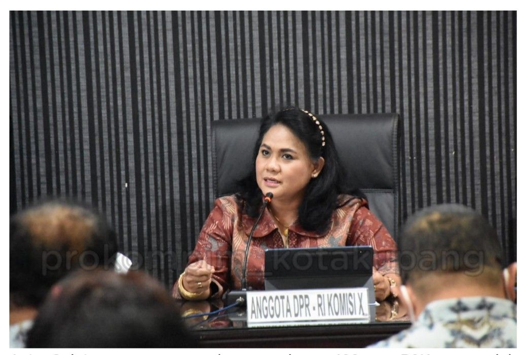Anita Gah anggota DPR RI DPR RI