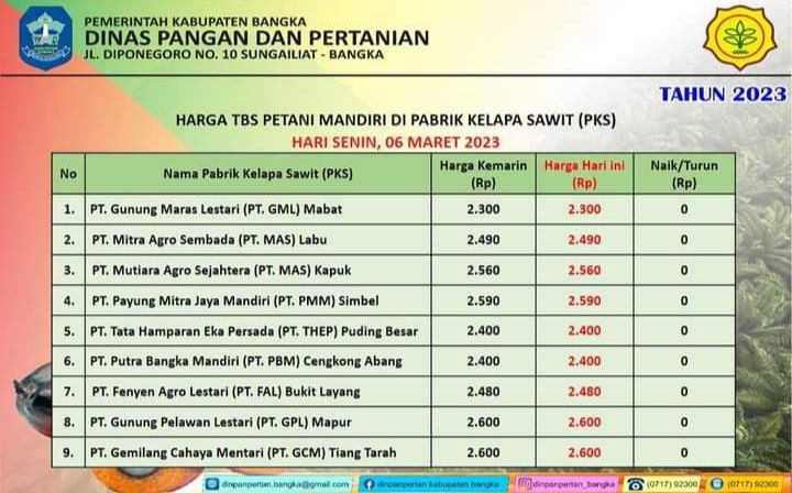 Tabel Daftar Harga Sawit Hari Ini di Kabupaten Bangka, Bangka Belitung