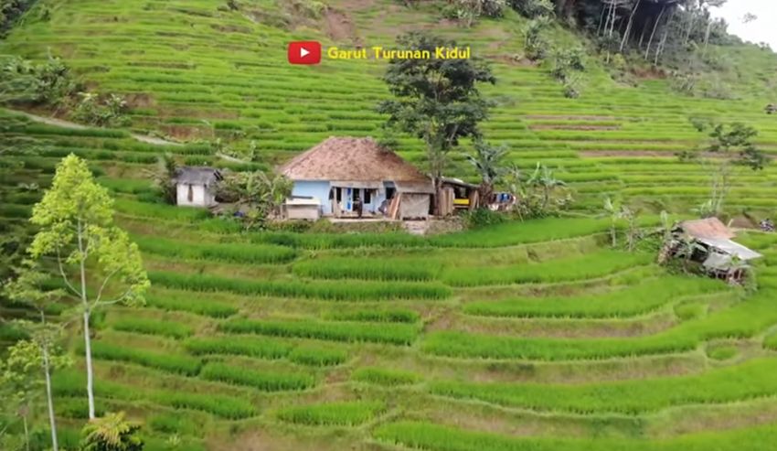 Keindahan alam di Kampung Cipeuteuy, Kabupaten Tasikmalaya dengan area persawahan terasering yang hijau. / Tangkapan YouTube Garut Turunan Kidul