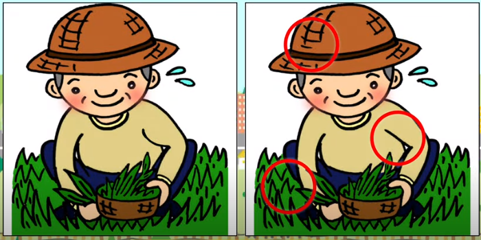 Jawaban tes IQ dalam menemukan perbedaan gambar petani. 