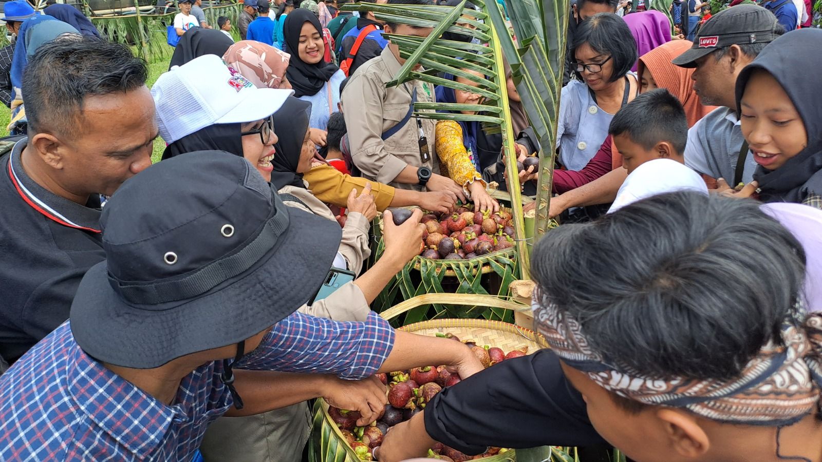 PENGUNJUNG berebut manggis pada Festival Manggis Purwakarta 2023 di Kebon Ambu Kecamatan Kiarapedes, Sabtu 11 Maret 2023.