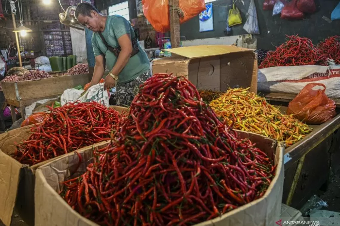 Pedagang menyortir cabai yang dijual, di Pasar Induk Kramat Jati, Jakarta Timur. Harga kebutuhan pokok seperti cabai rawit merah di pasar itu merangkak naik dari Rp 50-60 ribu per kilogram menjadi Rp 90 ribu per kilogram.