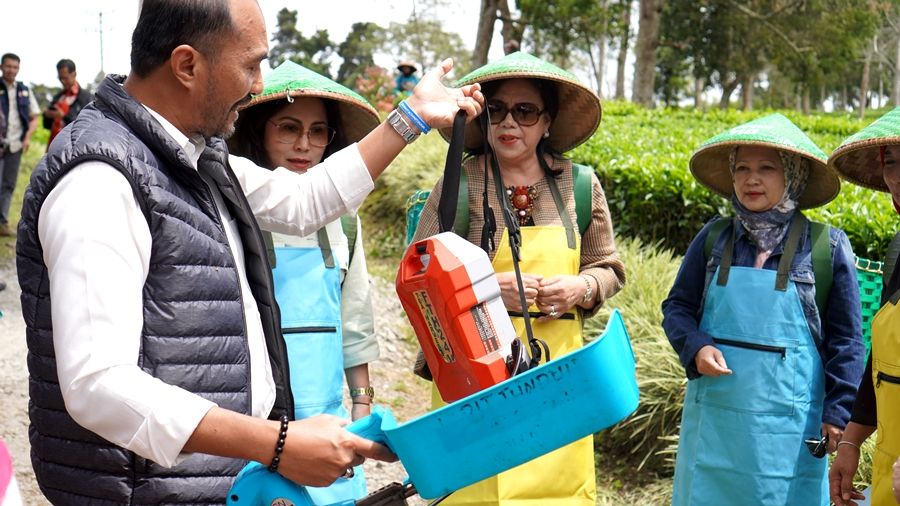Manajer PTPN VIII Kebun Malabar, Wawan Purnawarman, menunjukan mesin petik bertenaga listrik di perkebunan teh, untuk menciptakan produksi teh ramah lingkungan. 