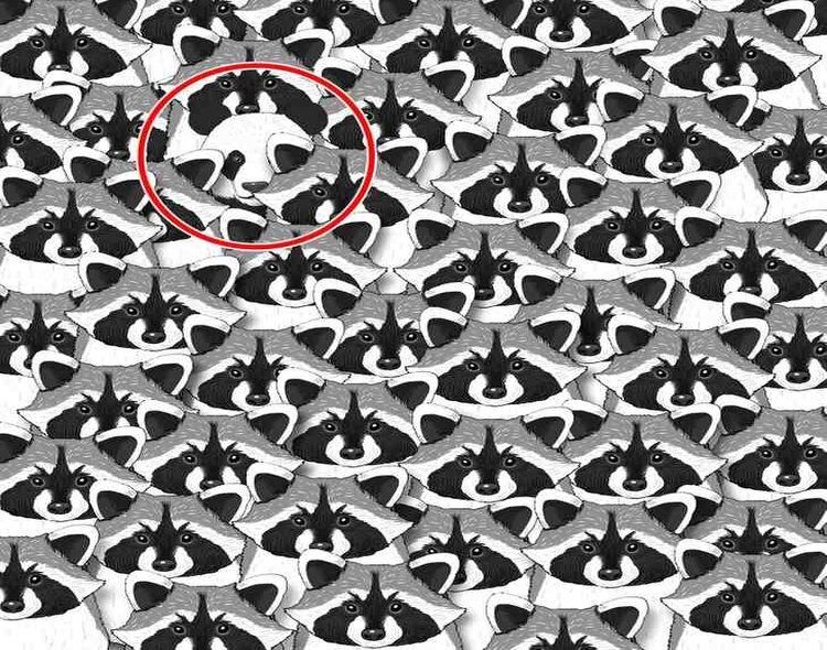 Tes IQ Ilusi Optik: Ungkap Kepintaran Kamu ketika Temukan Panda yang Tersembunyi pada Gambar ini!