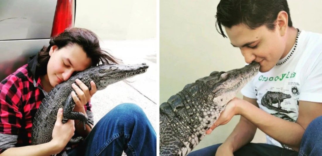 Jonathan Araiza dengan buaya peliharaannya.*  