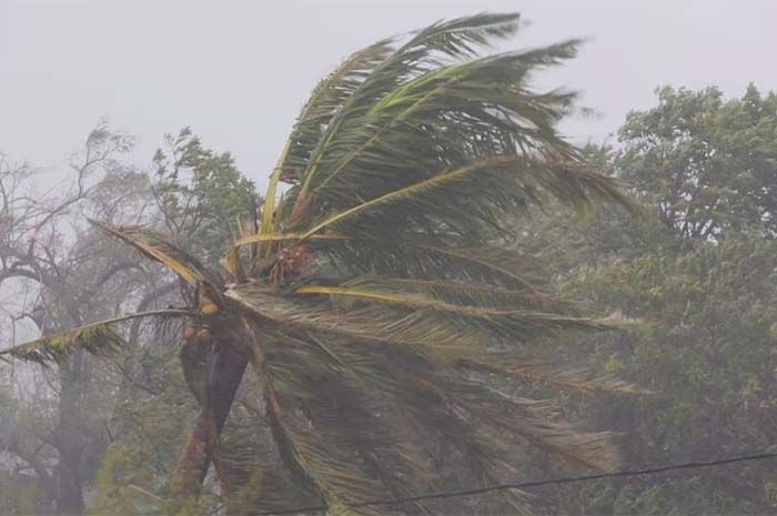 Cabang-cabang pohon bergoyang saat topan Freddy menerjang, di Quelimane, Zambezia, Mozambik, 12 Maret 2023, dalam tangkapan layar yang diambil dari video selebaran.