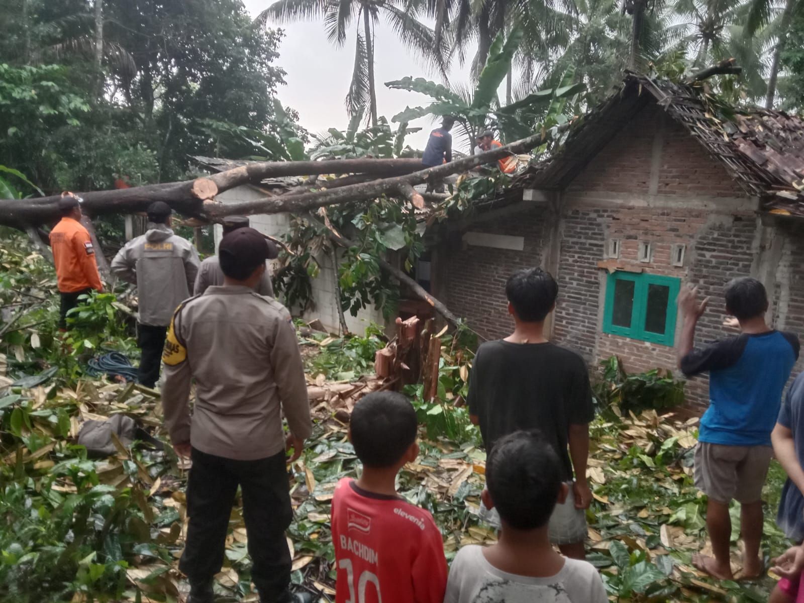 Pohon Tumbang Timpa Rumah Akibat Hujan Disertai Angin di Kejobong