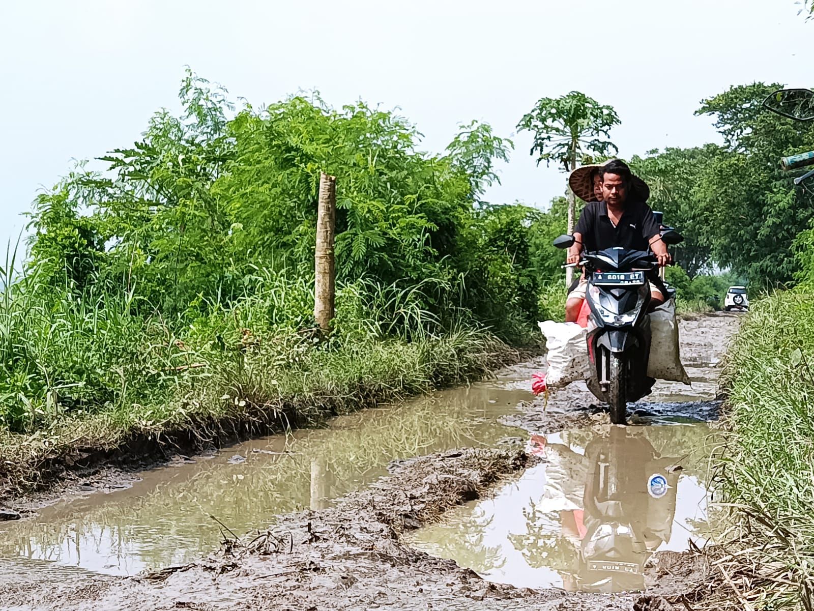 Petani melintas melalui ruas jalan rusak di Desa Laban Kecamatan Tirtayasa Kabupaten Serang, Kamis 16 Maret 2023. 