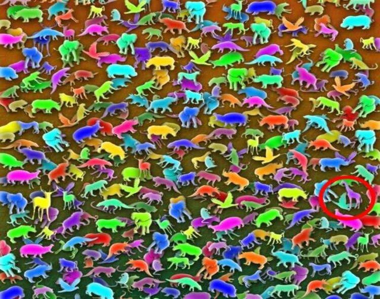 Jawaban tes IQ ilusi optik mencari jerapah di tumpukan gambar binatang 