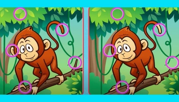 Perbedaannya terletak pada jempol tangan, telinga, ekor, ranting pohon, dan daun di bagian atas monyet.