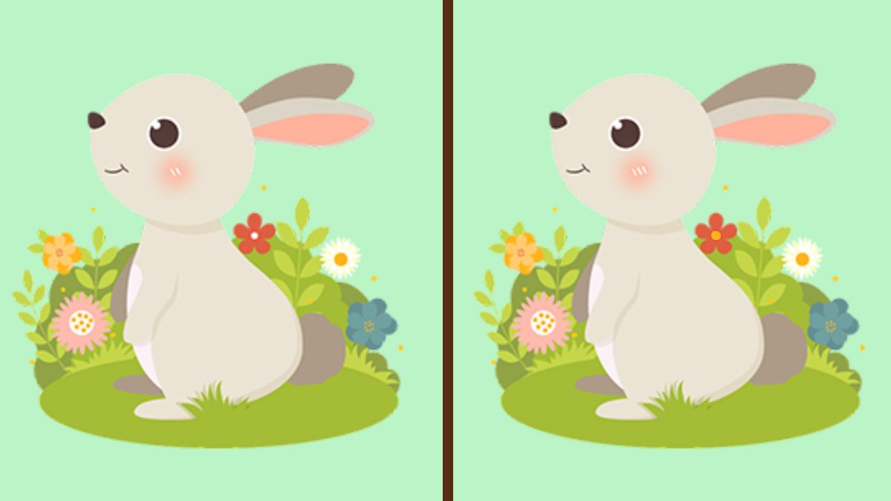 Tes IQ khusus untuk si jeli yang berhasil menemukan perbedaan dari gambar kelinci yang identik.