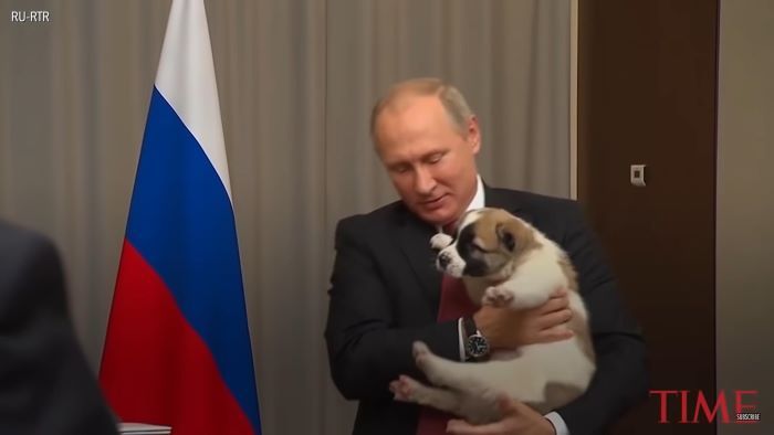 Presiden Rusia Vladimir Putin menerima anak anjing sebagai hadiah ulang tahun dari Presiden Turkmenistan