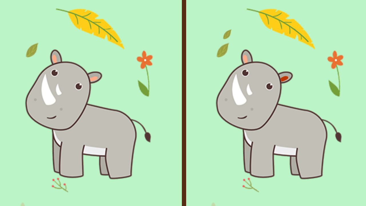 Ayo ikuti tes IQ cari perbedaan pada gambar badak bercula dua yang perlu dijaga dan dilestarikan!