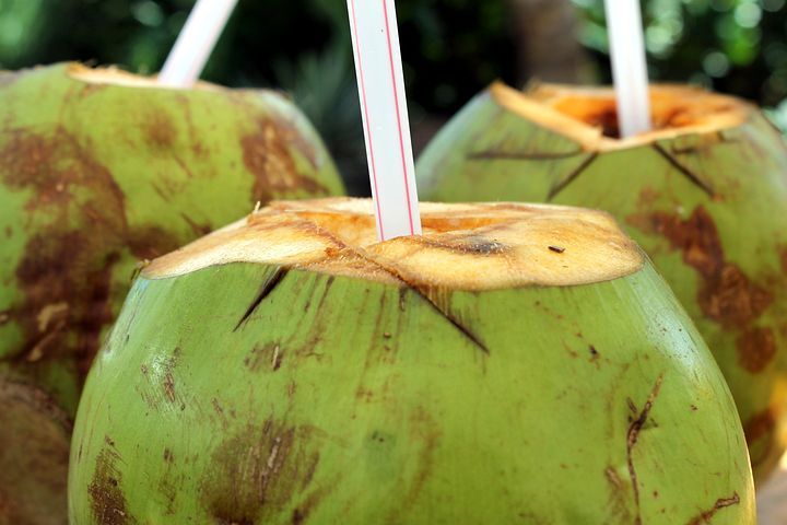 Ilustrasi - manfaat air kelapa untuk kesehatan tubuh