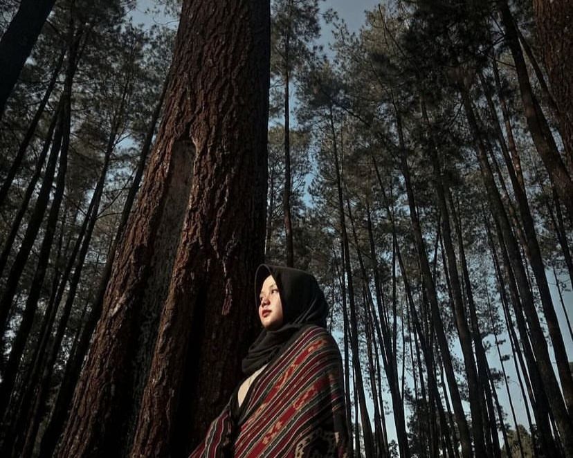 Hutan Pinus Nongko Ijo /Instagram@jonandha.ap