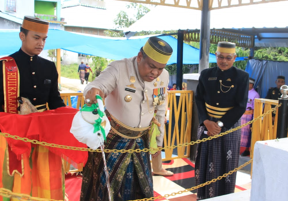 Bupati Bone ziarah ke makam Raja Bone ke 9 di Desa Dampang Bulukumba