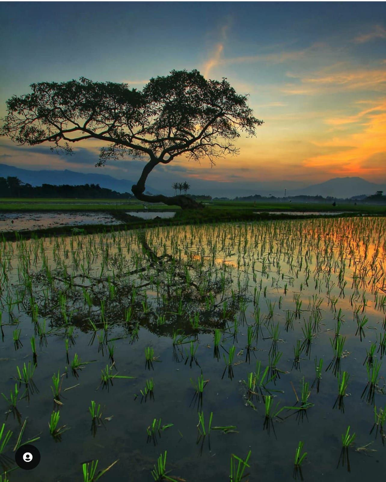 Salatiga salah satu daerah yang memiliki panorama indah
