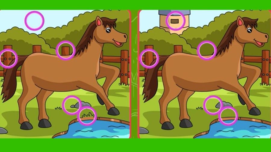 Kunci Jawaban Tes IQ Menemukan 5 Perbedaan Pada Gambar Kuda