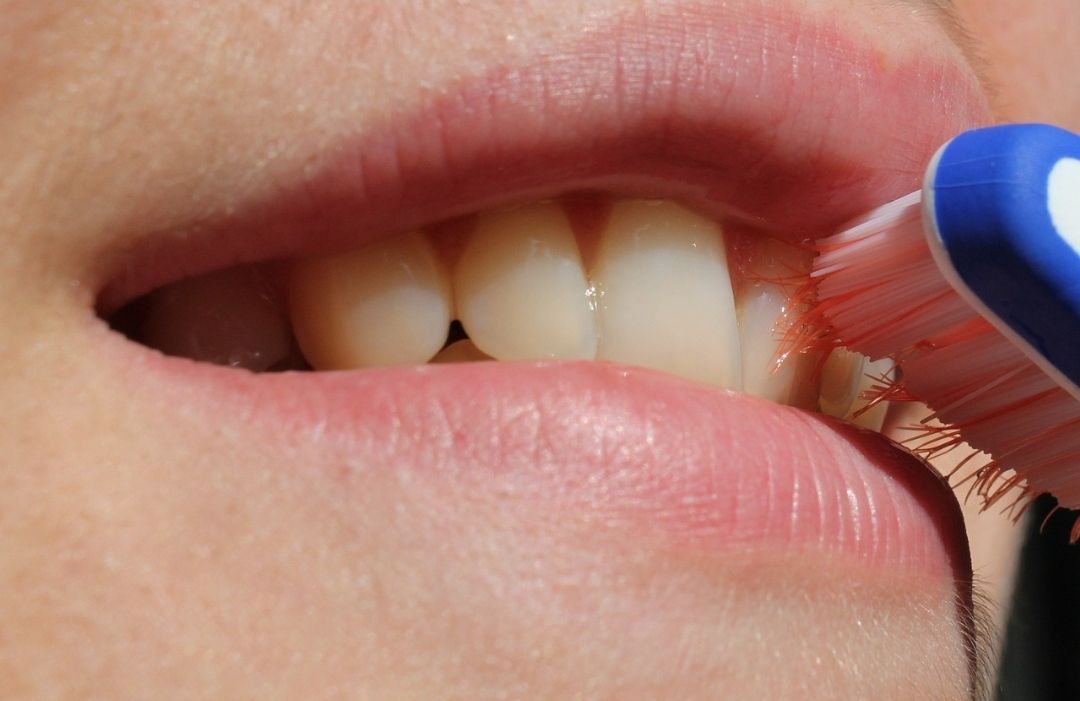 Membersihkan mulut dan tips menggosok gigi/ficabay/AlbanyColley / 250 images