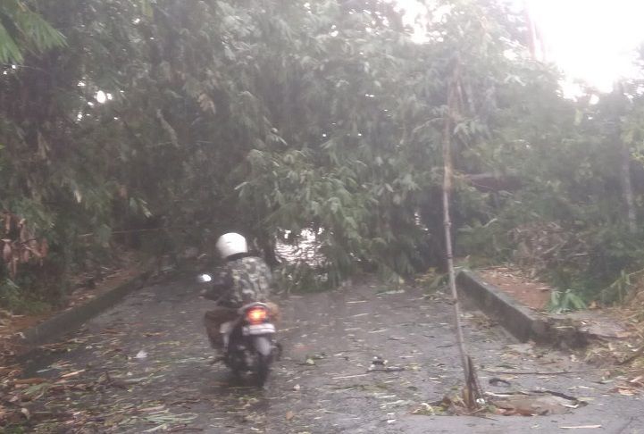 Pohon tumbang yang menutupi salah satu jalan di Pandeglang, Senin 30 Maret 2023.